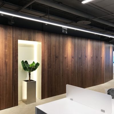 Шпонированные панели